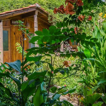 Homestay szállás Agora *