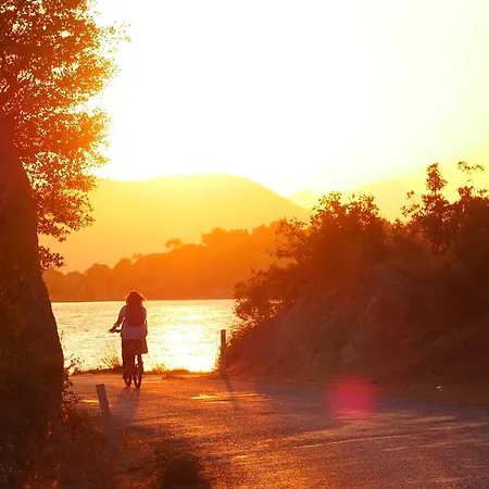 Agora ホームステイ *