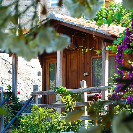 Agora ホームステイ