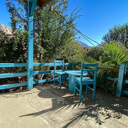 Homestay Agora Kapikiri