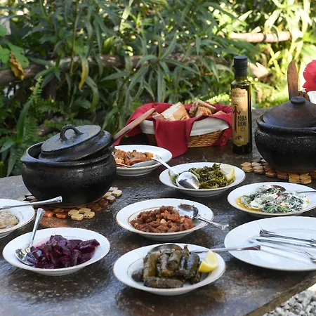 Homestay szállás Agora *