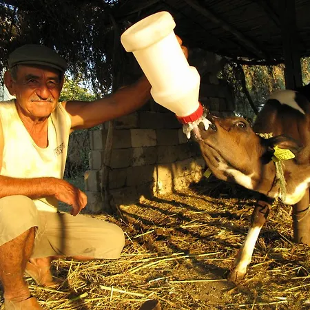 Agora Homestay szállás *