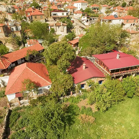 Agora ホームステイ