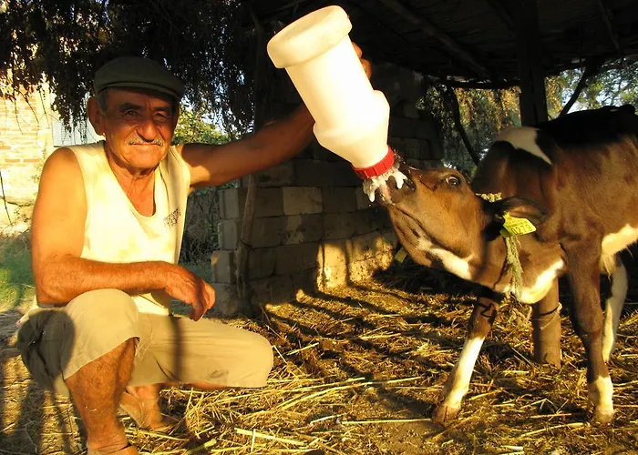 Agora Rum i privatbostad *