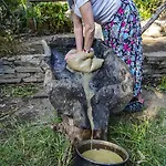 Homestay Agora Kapikiri