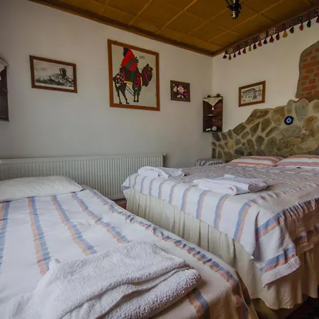Agora Alloggio in famiglia