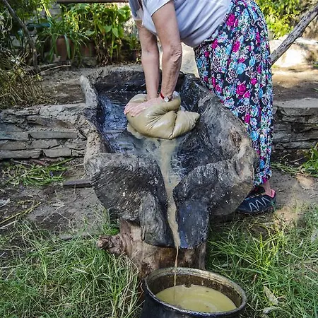 Alloggio in famiglia Agora Kapikiri