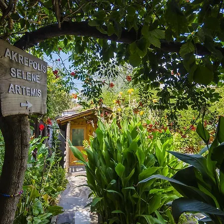 Alloggio in famiglia Agora Kapikiri