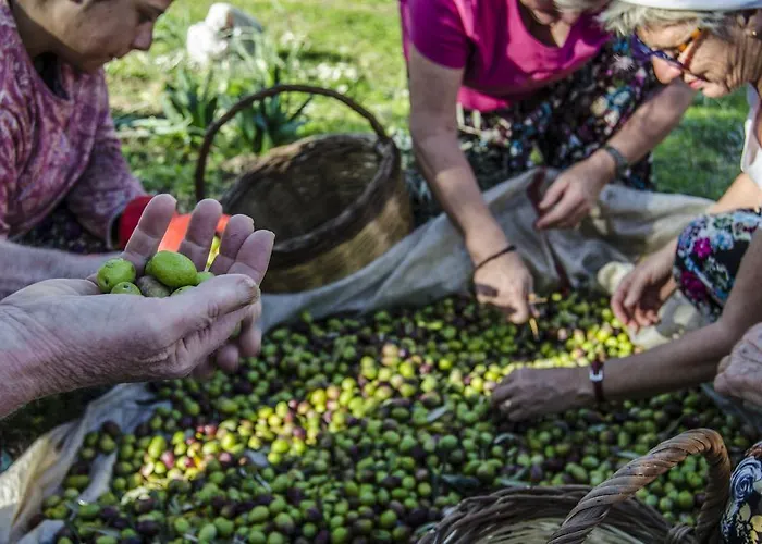 Ubytování v soukromí Agora Kapikiri
